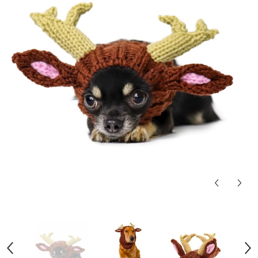 Zoo snood for dogs